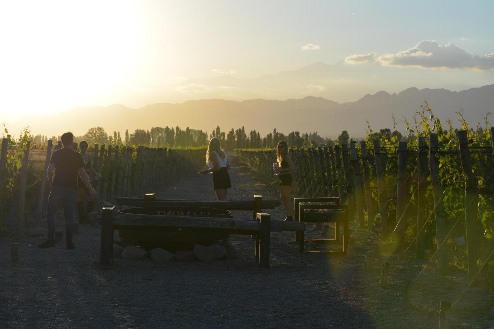 Viamonte Winery Lodge Chacras de Coria Eksteriør bilde