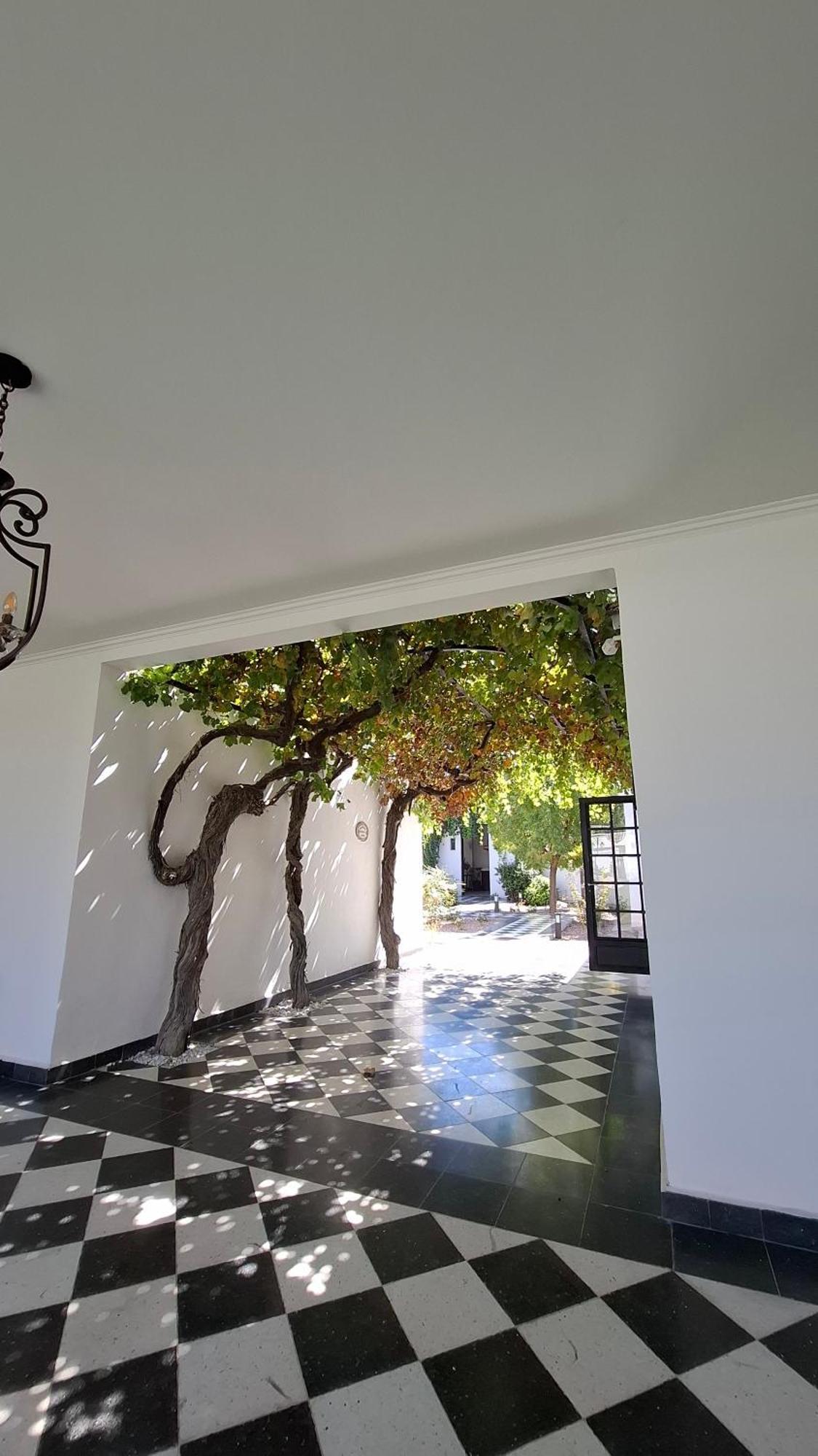 Viamonte Winery Lodge Chacras de Coria Eksteriør bilde